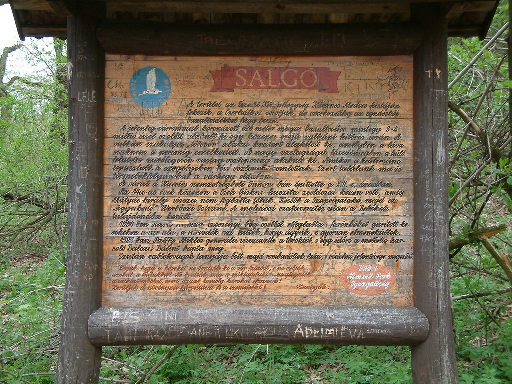 DSCF0089.JPG