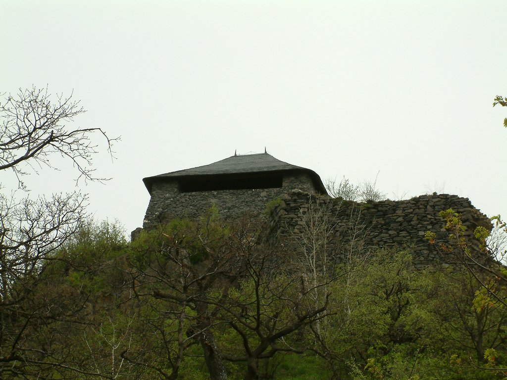 DSCF0092.JPG