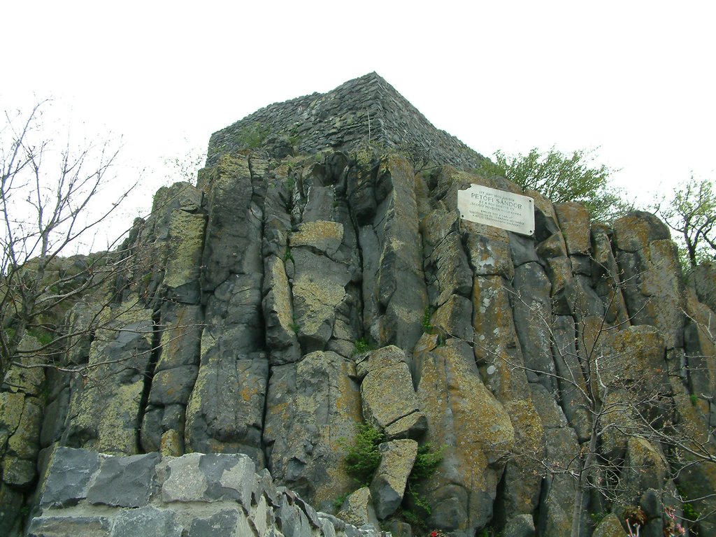 DSCF0094.JPG