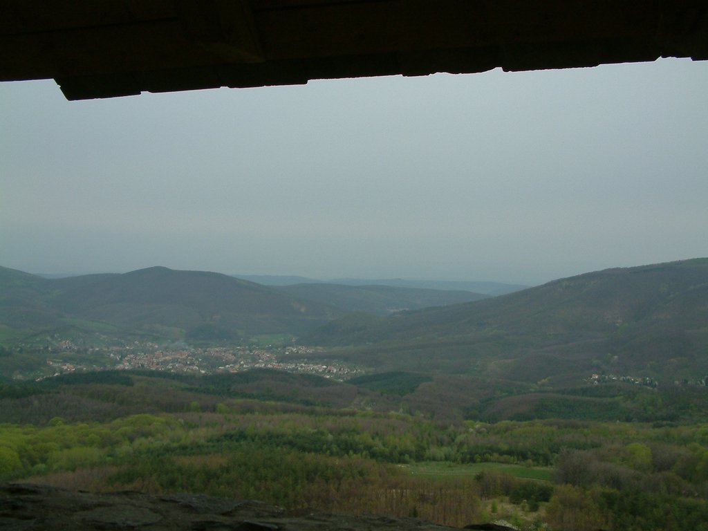 DSCF0105.JPG