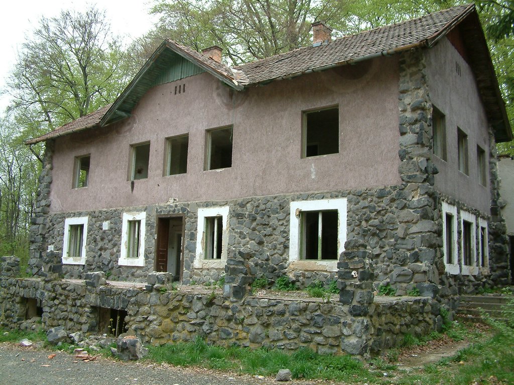 DSCF0110.JPG