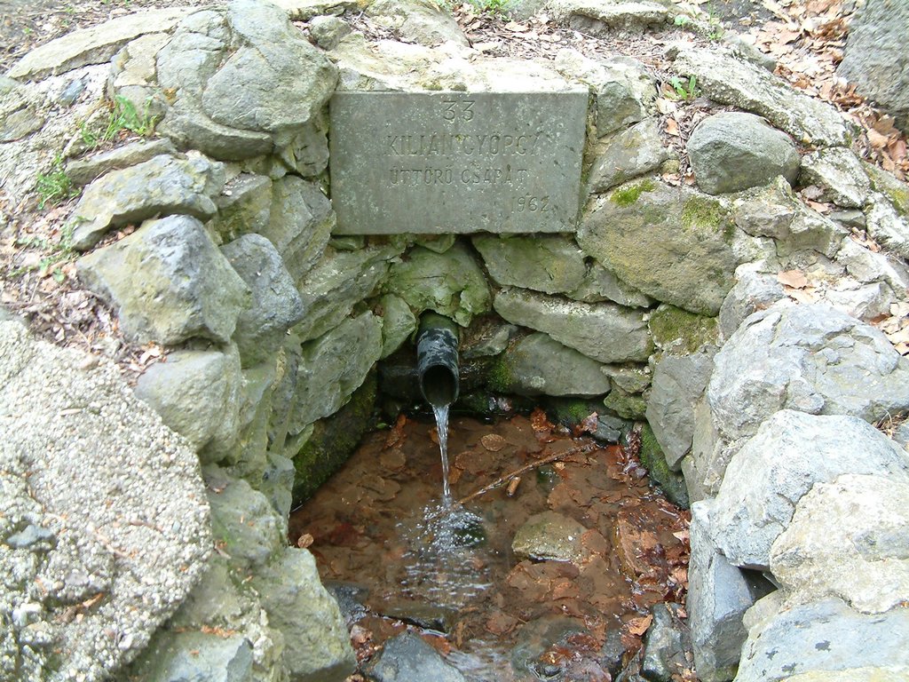 DSCF0113.JPG