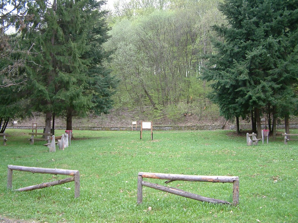 DSCF0114.JPG