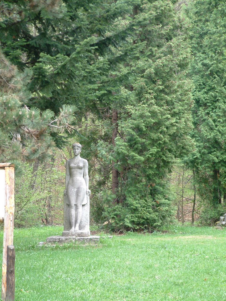 DSCF0115.JPG