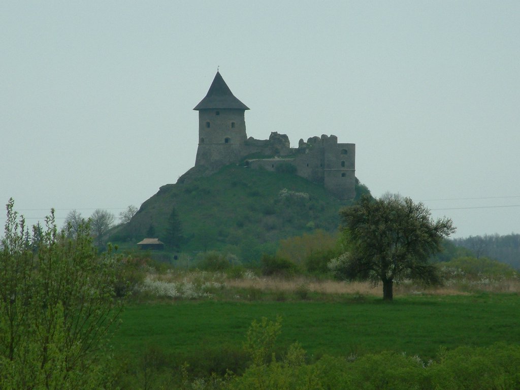 DSCF0116.JPG