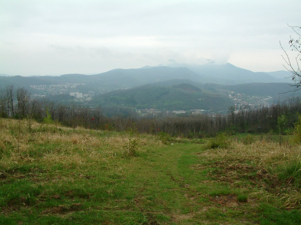 DSCF0135.JPG