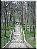 DSCF0018.JPG