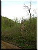 DSCF0029.JPG