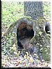 DSCF0031.JPG