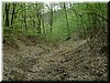 DSCF0042.JPG