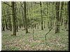 DSCF0044.JPG