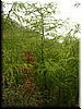 DSCF0047.JPG