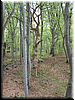 DSCF0109.JPG