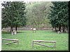 DSCF0114.JPG