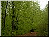 DSCF0125.JPG