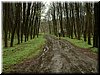 DSCF0126.JPG