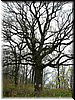 DSCF0132.JPG