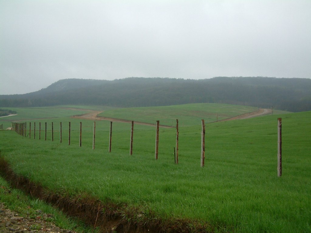 DSCF0241.JPG