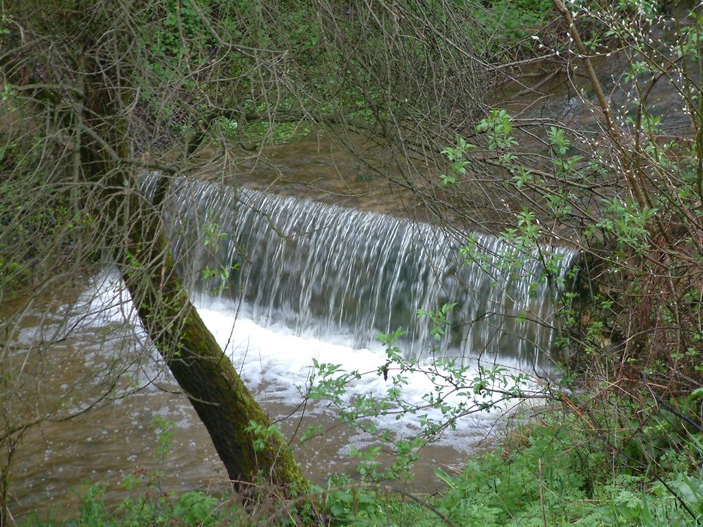 DSCF0242.JPG