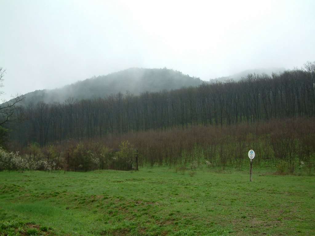 DSCF0243.JPG