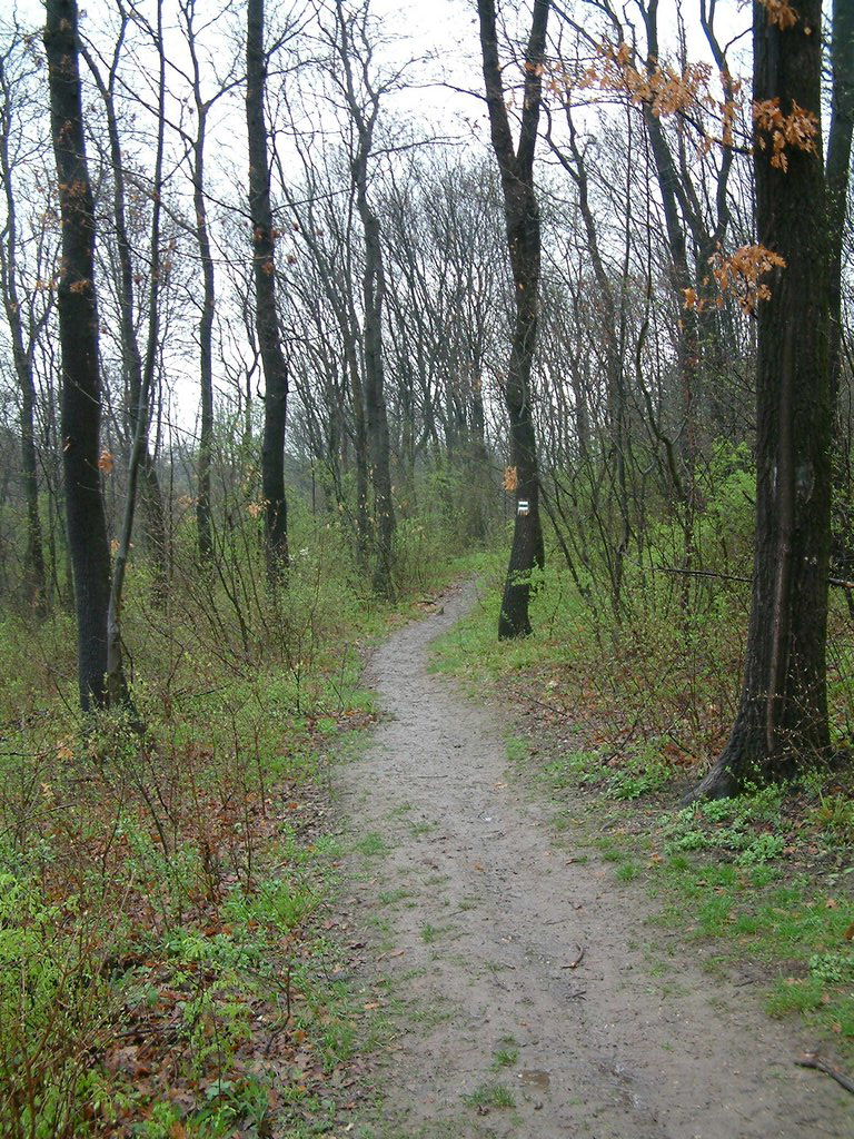DSCF0244.JPG