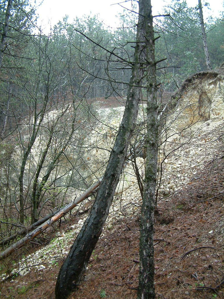 DSCF0246.JPG