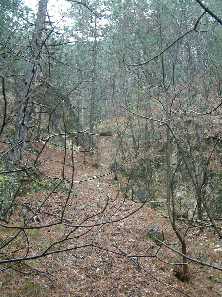 DSCF0247.JPG