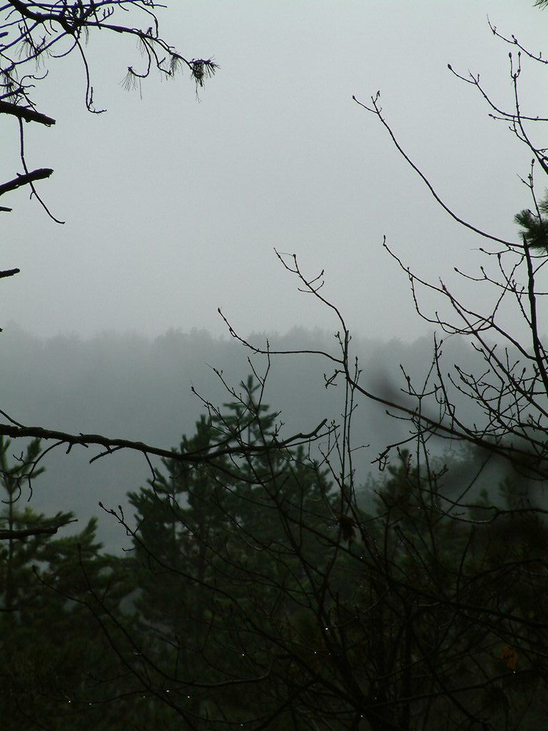 DSCF0248.JPG