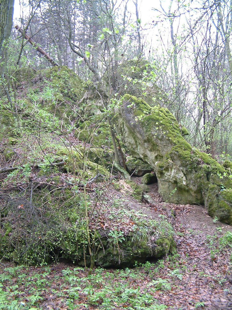 DSCF0253.JPG