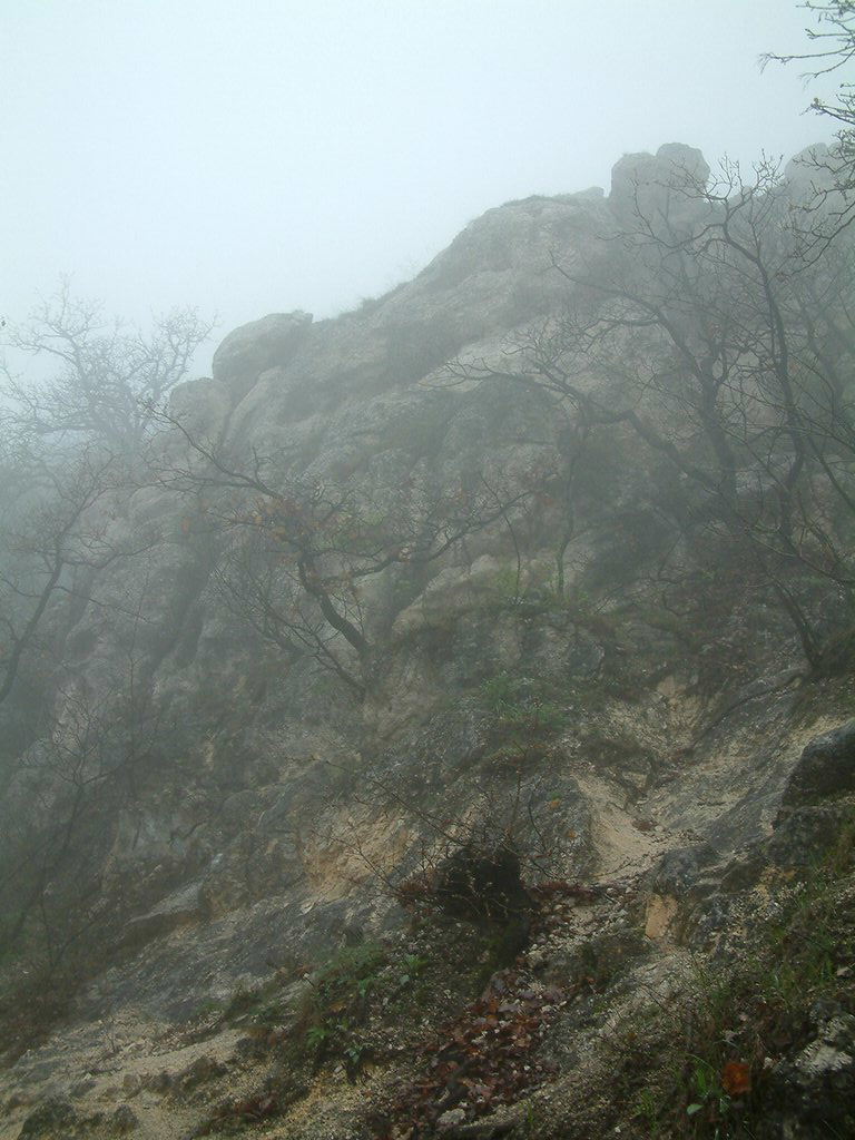 DSCF0258.JPG