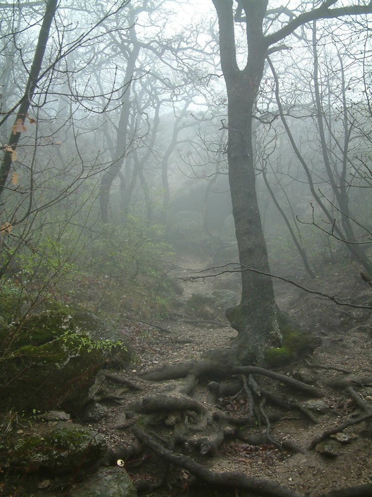 DSCF0259.JPG