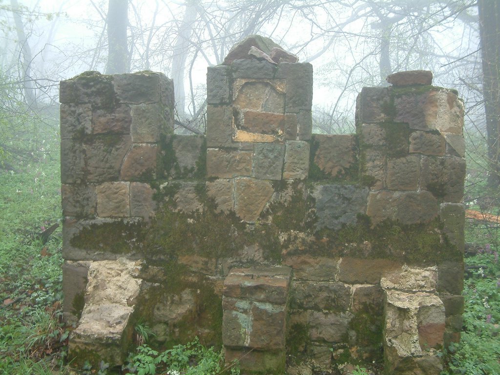 DSCF0260.JPG