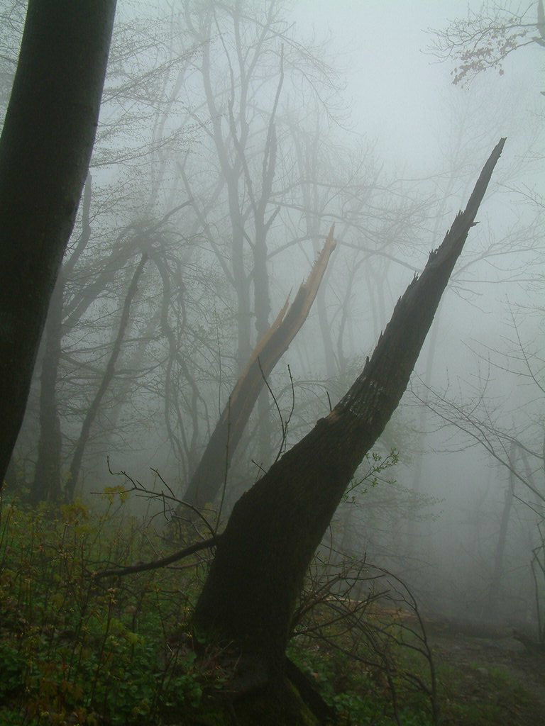 DSCF0262.JPG