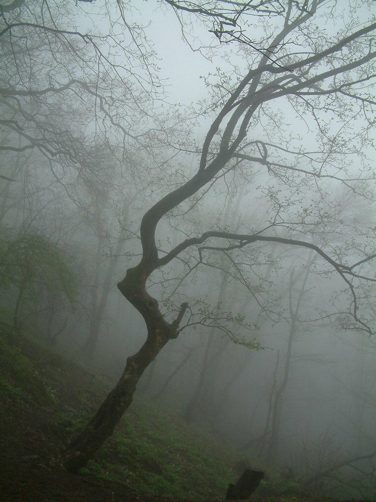 DSCF0266.JPG