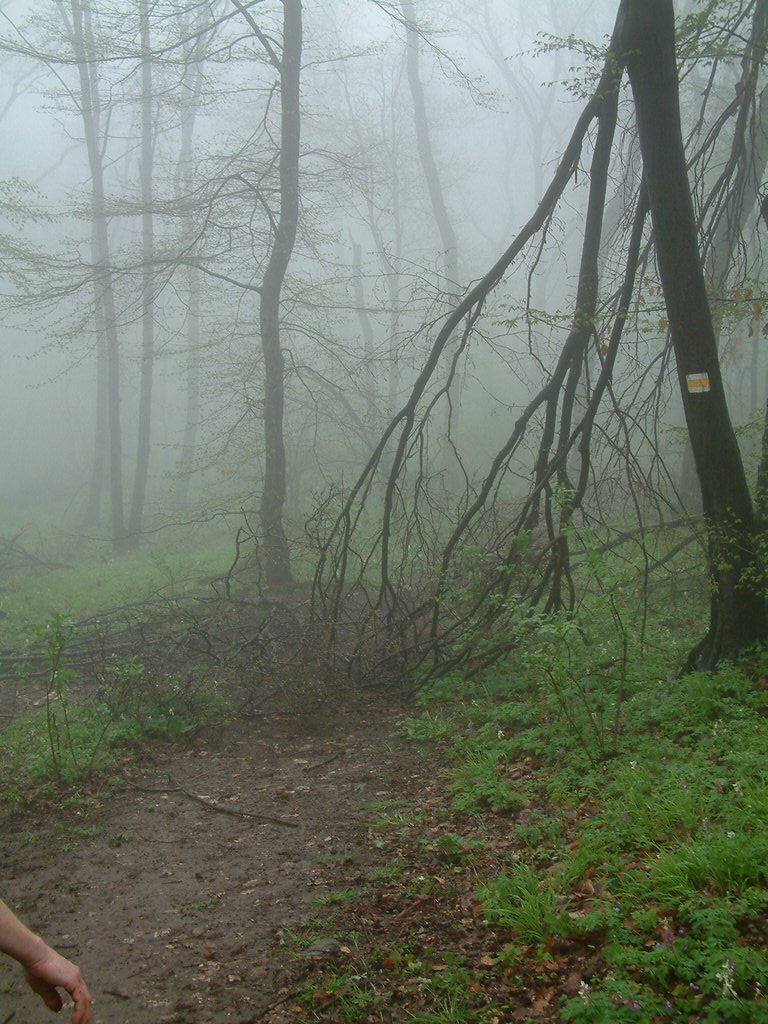 DSCF0267.JPG
