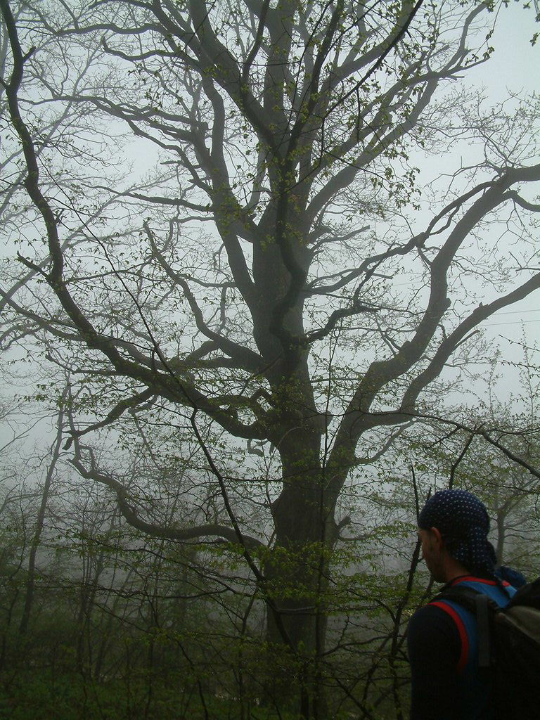 DSCF0268.JPG