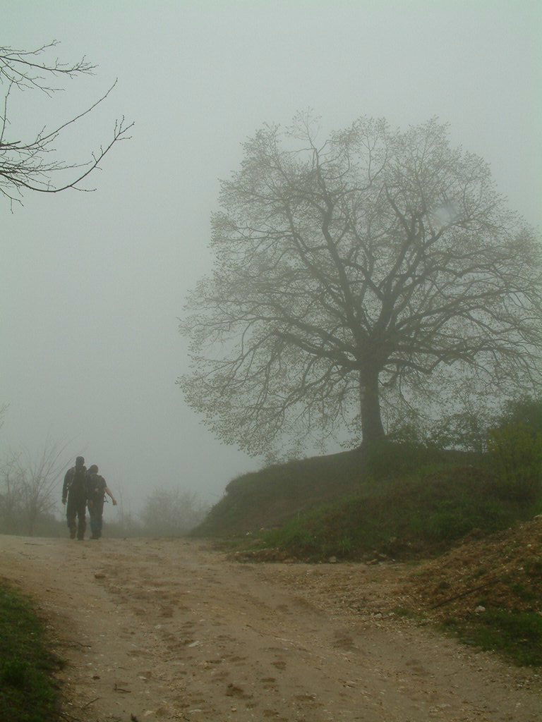 DSCF0271.JPG