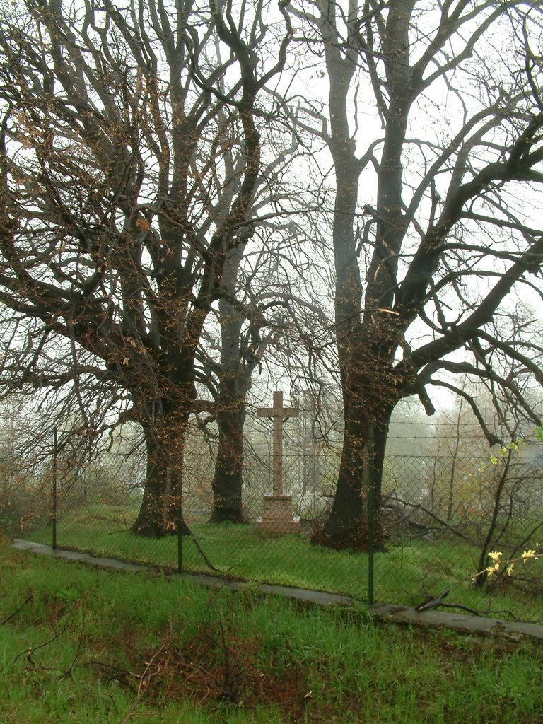 DSCF0272.JPG
