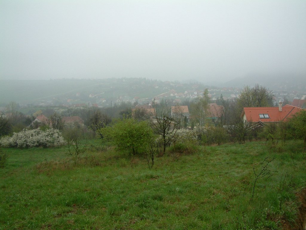 DSCF0275.JPG