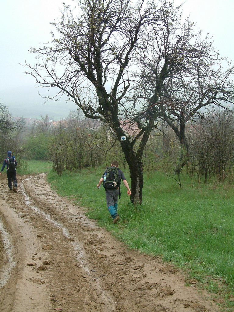 DSCF0277.JPG