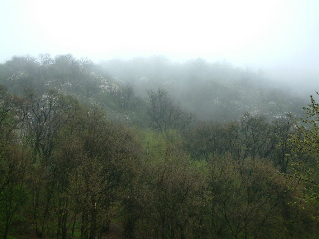 DSCF0283.JPG