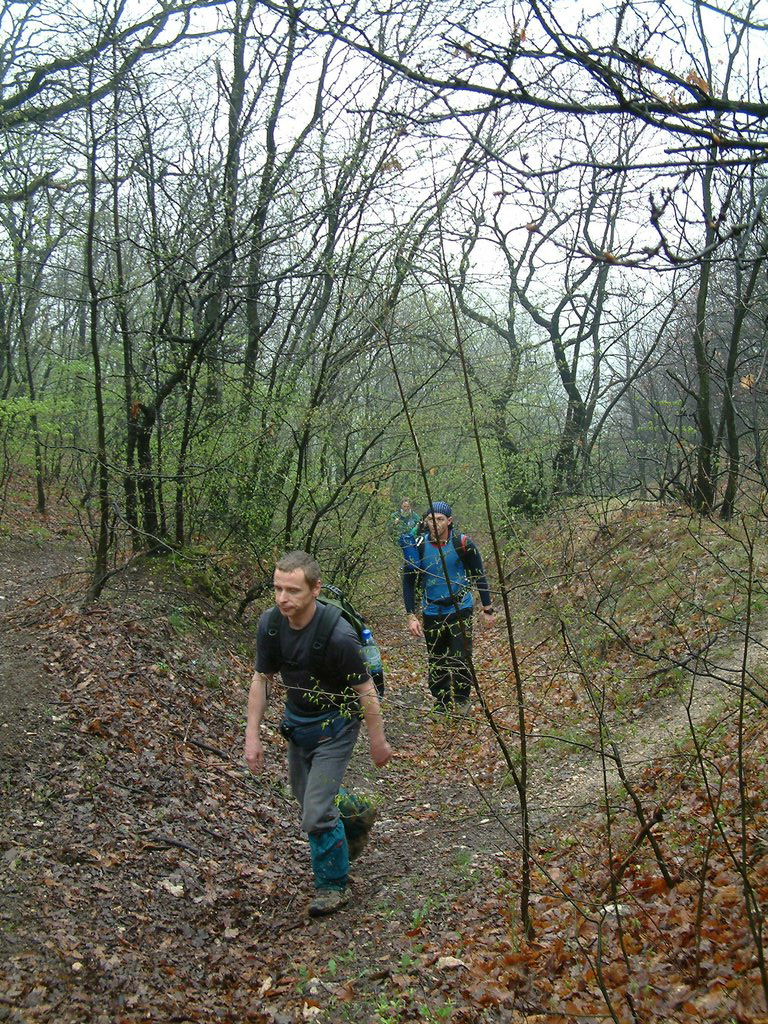 DSCF0284.JPG