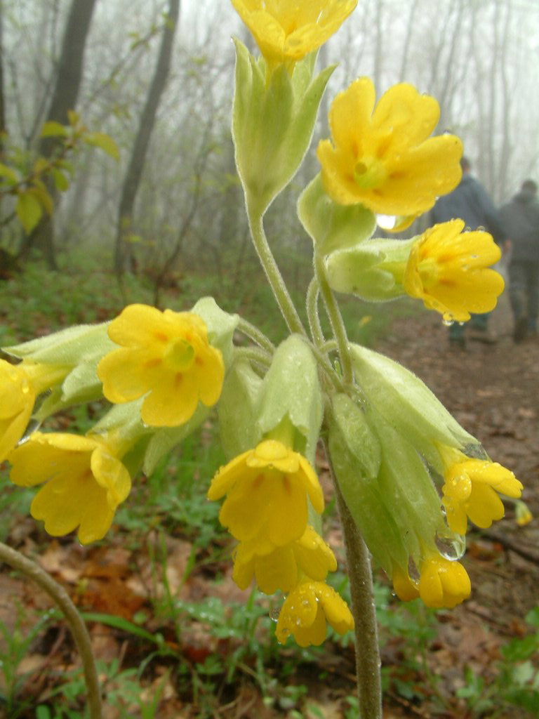 DSCF0285.JPG