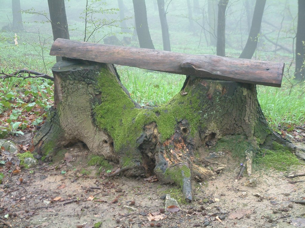 DSCF0289.JPG