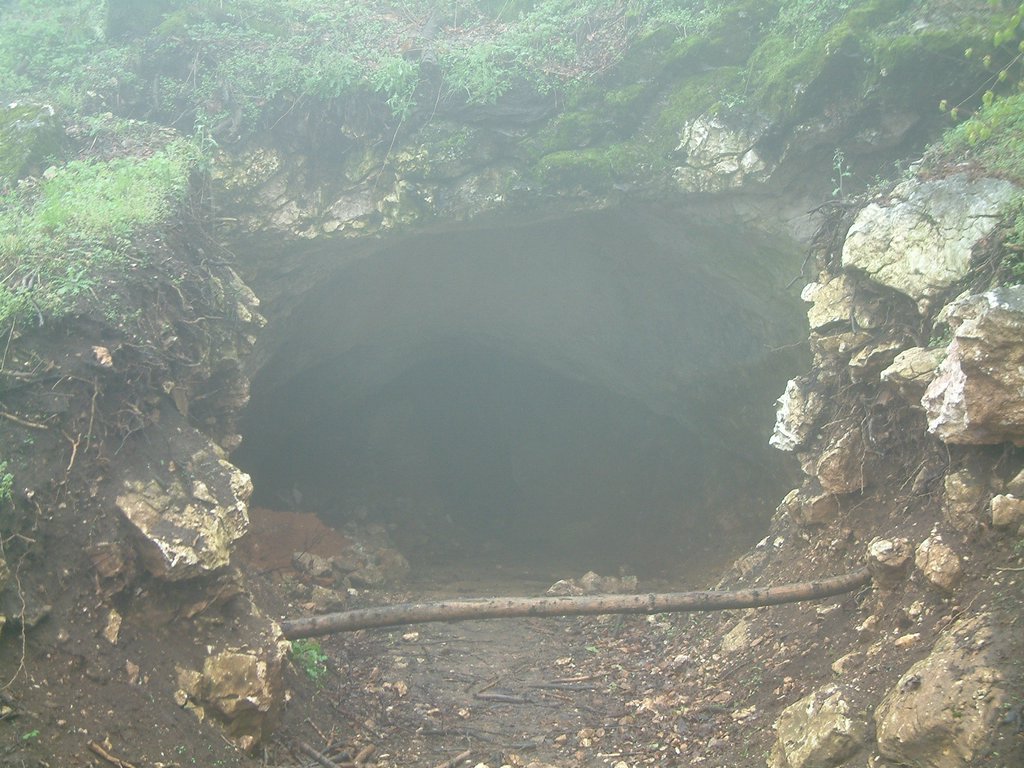 DSCF0290.JPG