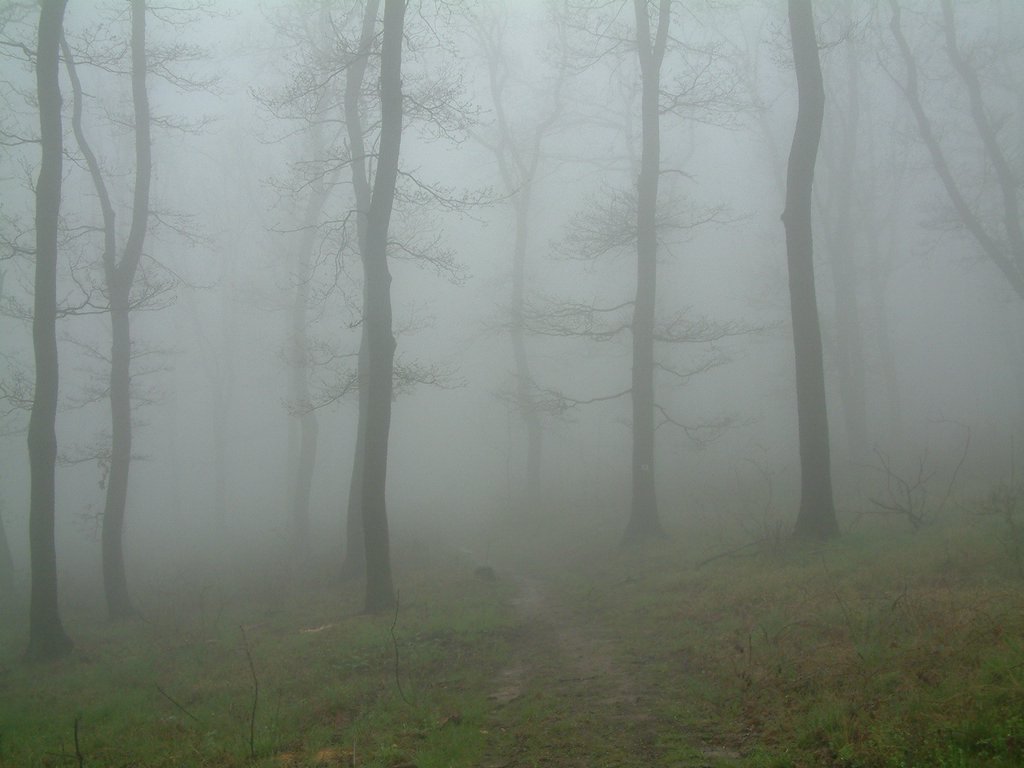 DSCF0292.JPG