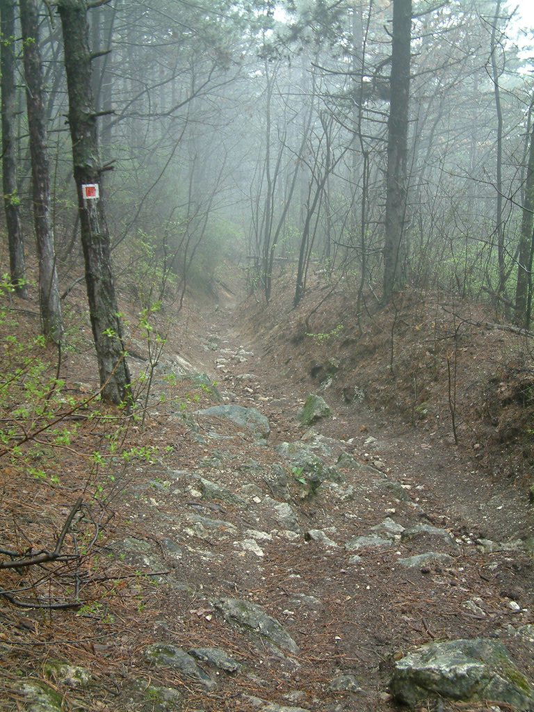 DSCF0293.JPG