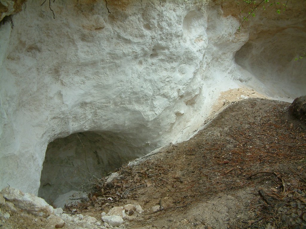 DSCF0294.JPG