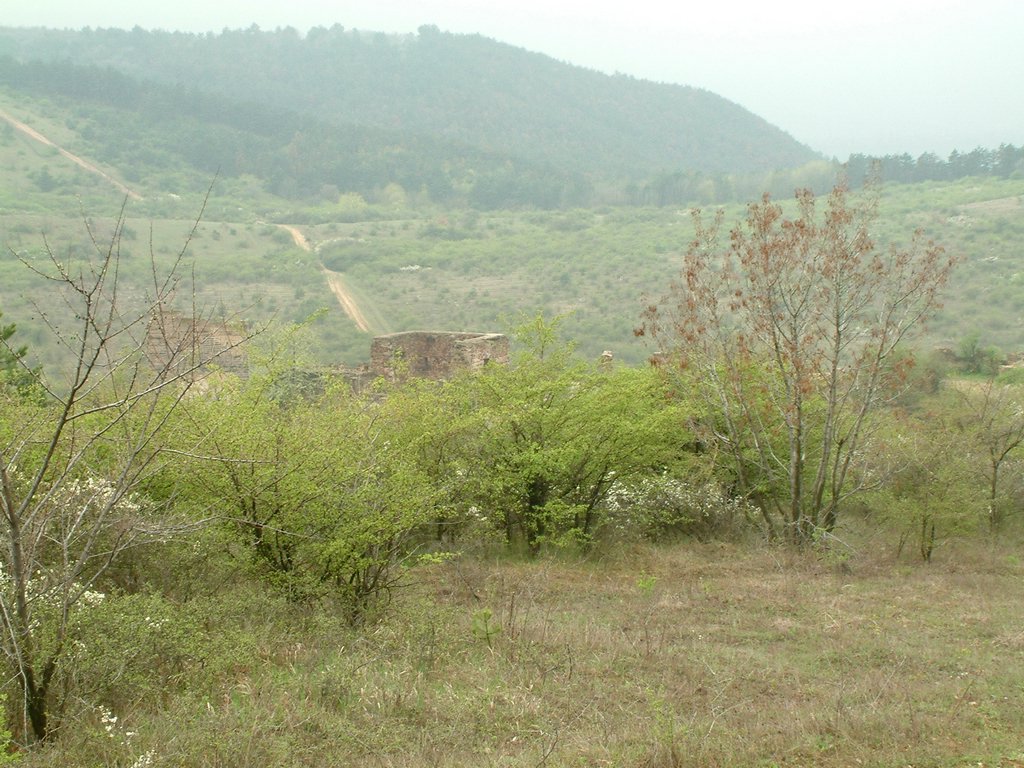 DSCF0298.JPG