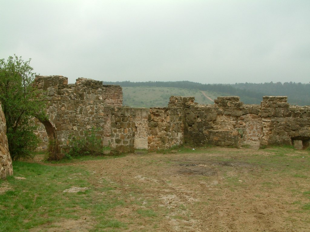 DSCF0300.JPG